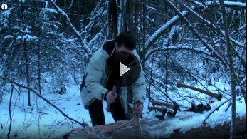 Топор ТАЙГА-2. Рубка рога
